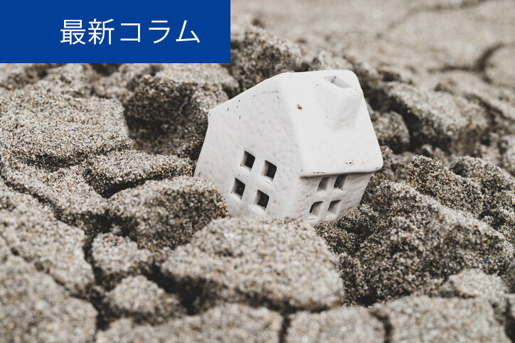 東京の世田谷区成城で起きた土砂崩れの原因は何か？